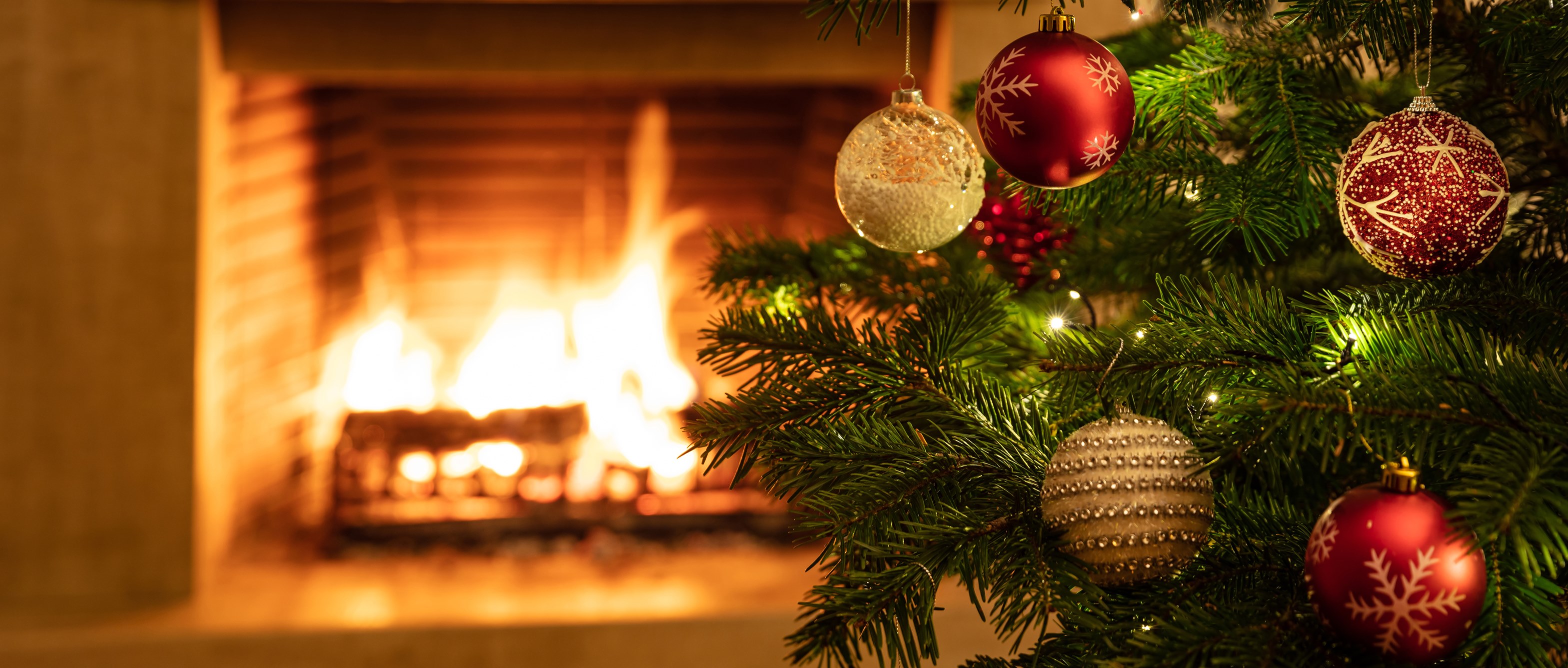Weihnachtsbäume in Eckenheim.